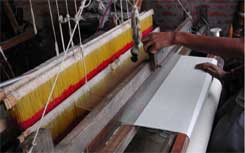 pashmina